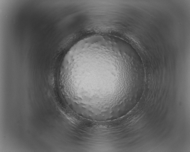 X0000073850687200608241043