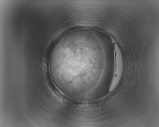 X0000073850688200608241043