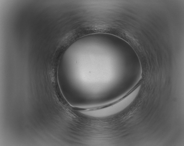 X0000073850689200608241043