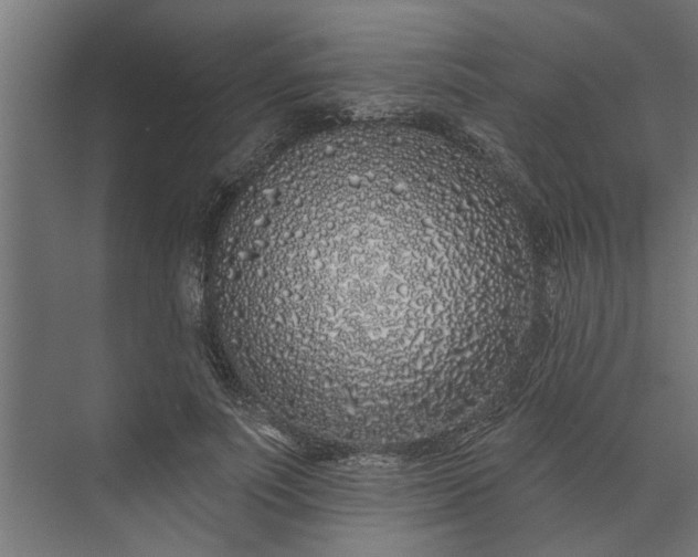 X0000073850691200608241043