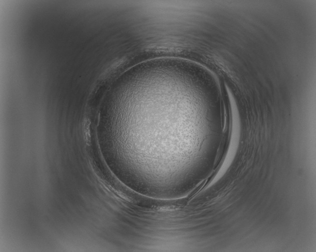 X0000073850692200608241043