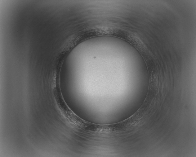 X0000073850694200608241043