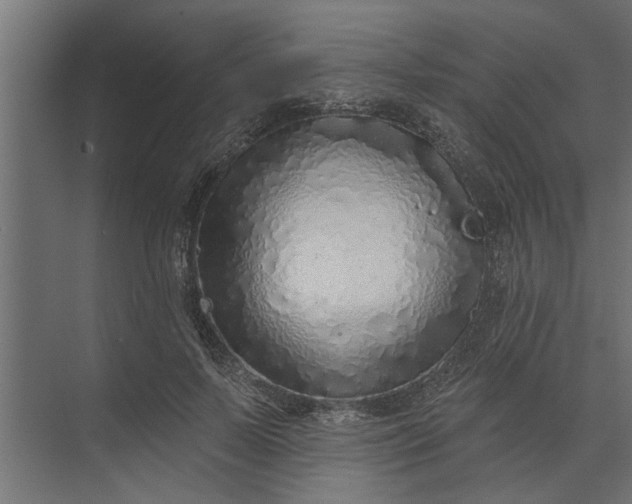 X0000073850695200608241043