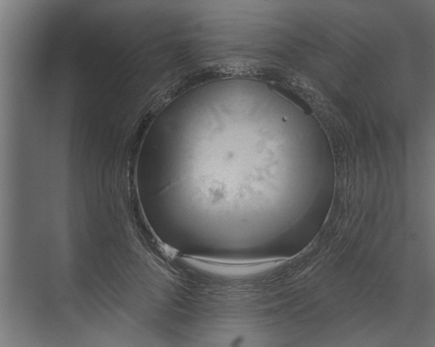 X0000073850696200608241043