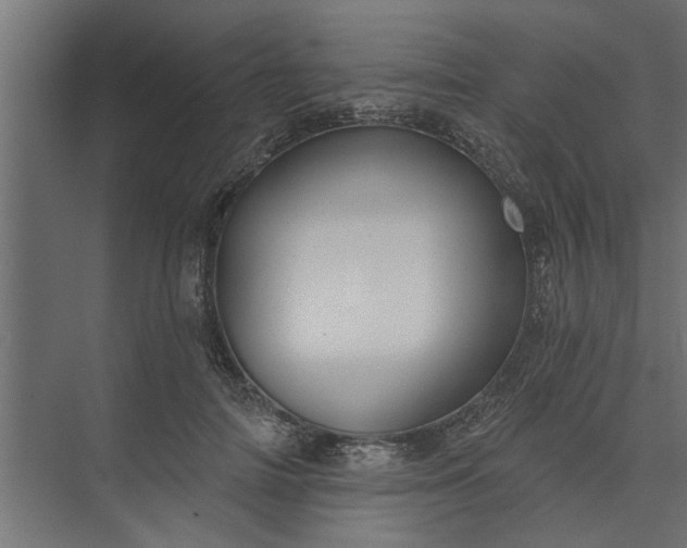 X0000073850698200608241043