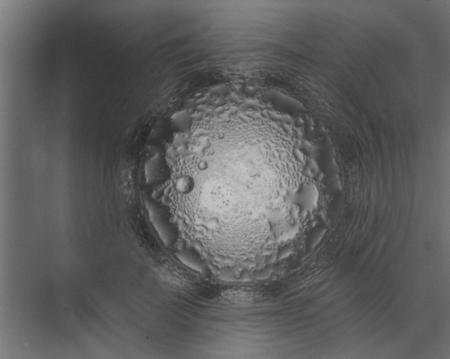 X0000073850699200608241043