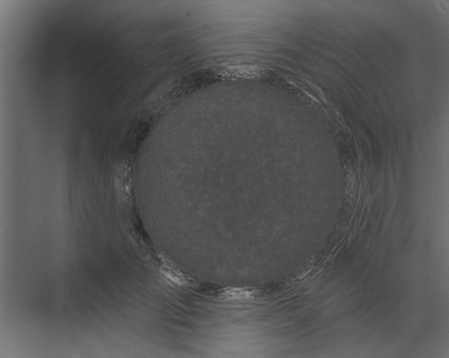 X0000073850701200608241043