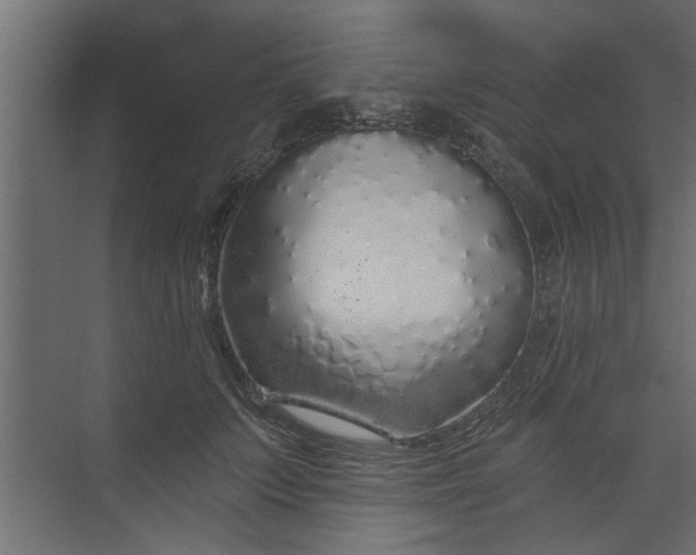 X0000073850703200608241043