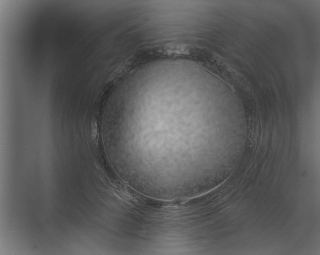 X0000073850704200608241043