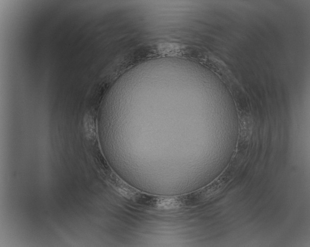 X0000073850705200608241043