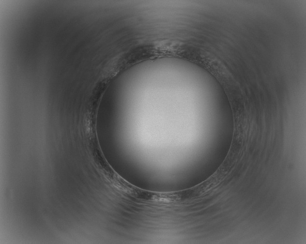 X0000073850706200608241043