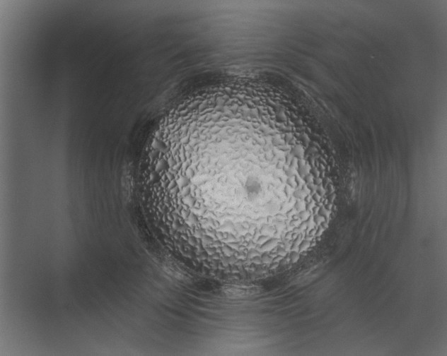 X0000073850707200608241043