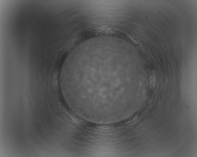 X0000073850708200608241043