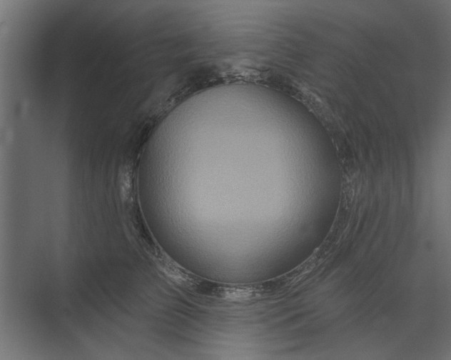 X0000073850709200608241043