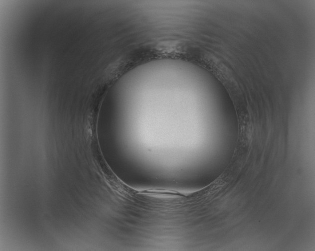 X0000073850710200608241043