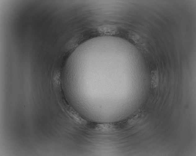 X0000073850713200608241043