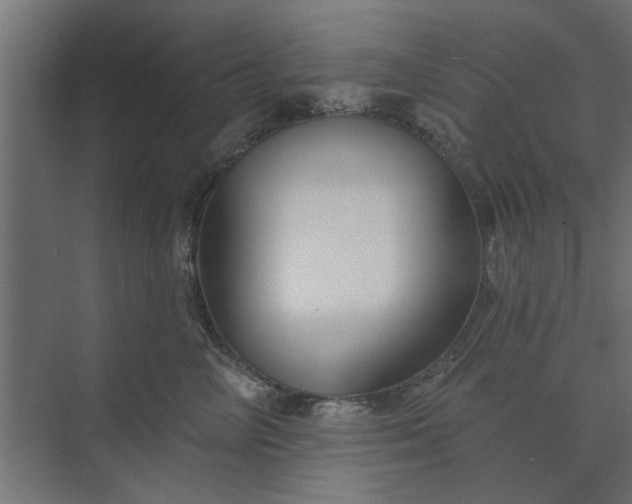 X0000073850714200608241043