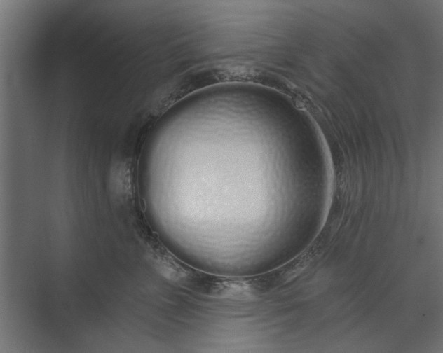 X0000073850715200608241043