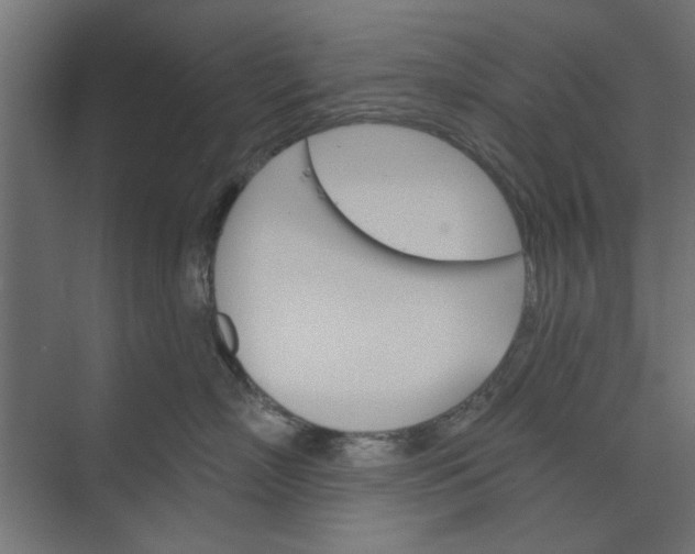 X0000073850718200608241043