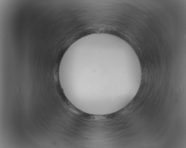 X0000073850719200608241042