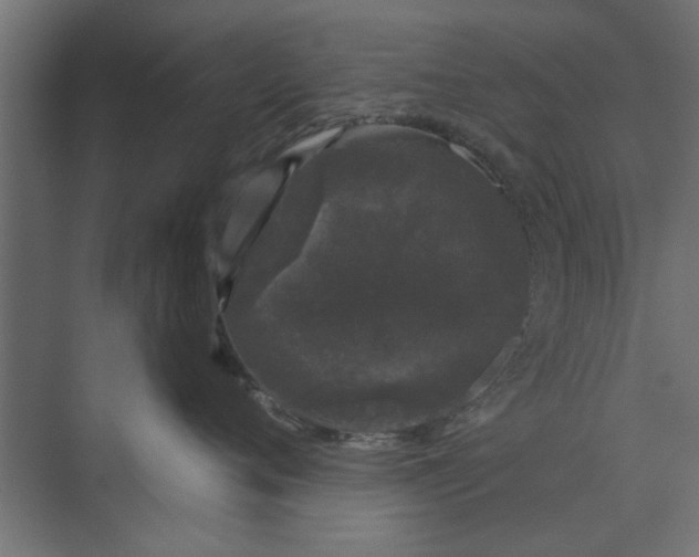 X0000073850720200608241042