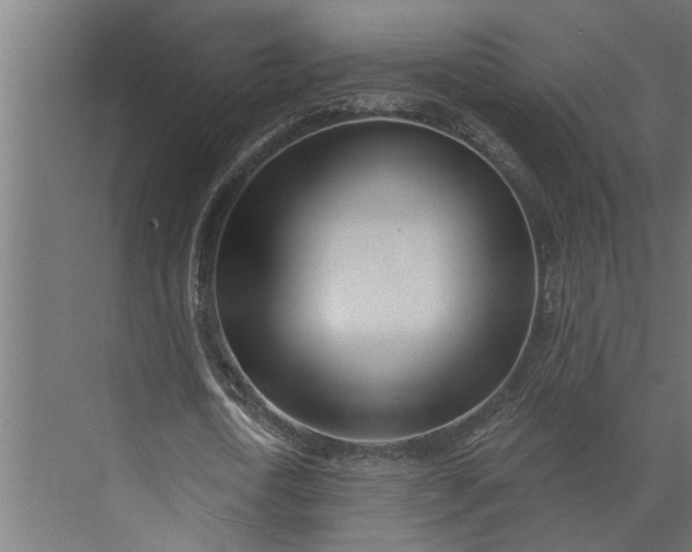 X0000073850722200608241042