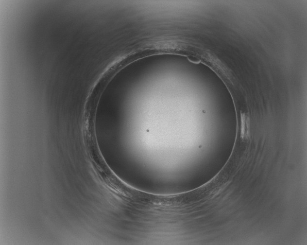 X0000073850723200608241042