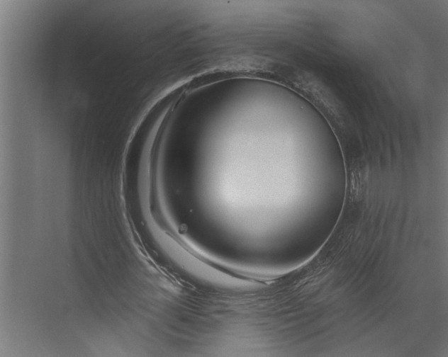 X0000073850724200608241042