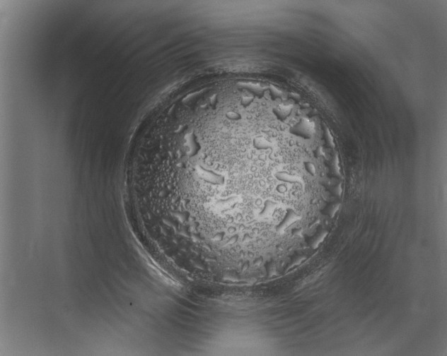 X0000073850725200608241042