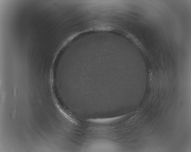 X0000073850726200608241042