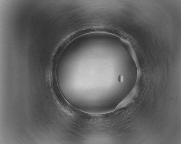 X0000073850728200608241042