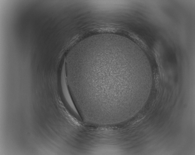 X0000073850729200608241042