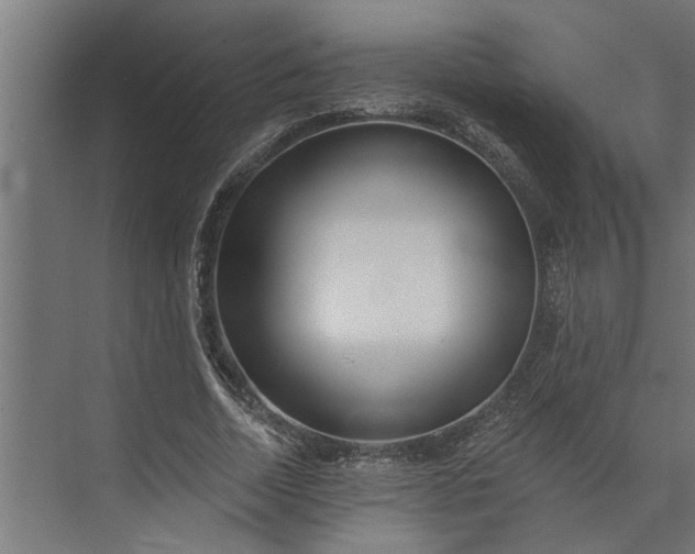 X0000073850730200608241042