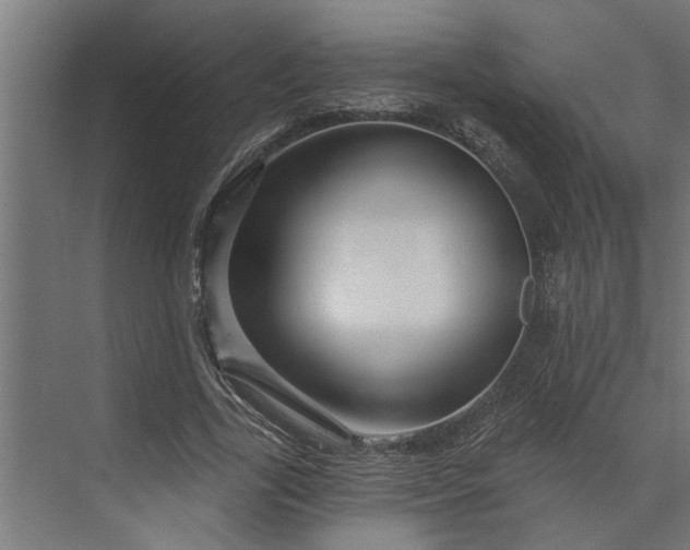 X0000073850731200608241042