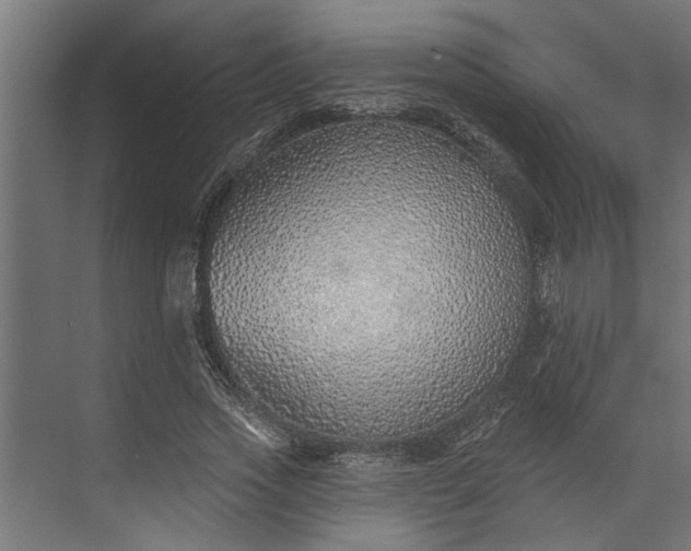 X0000073850733200608241042