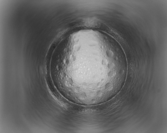 X0000073850734200608241042