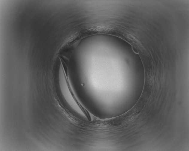 X0000073850735200608241042