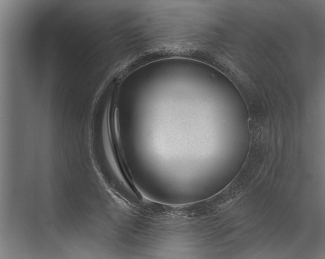 X0000073850736200608241042