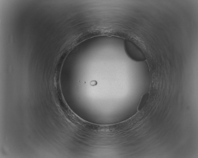 X0000073850740200608241042