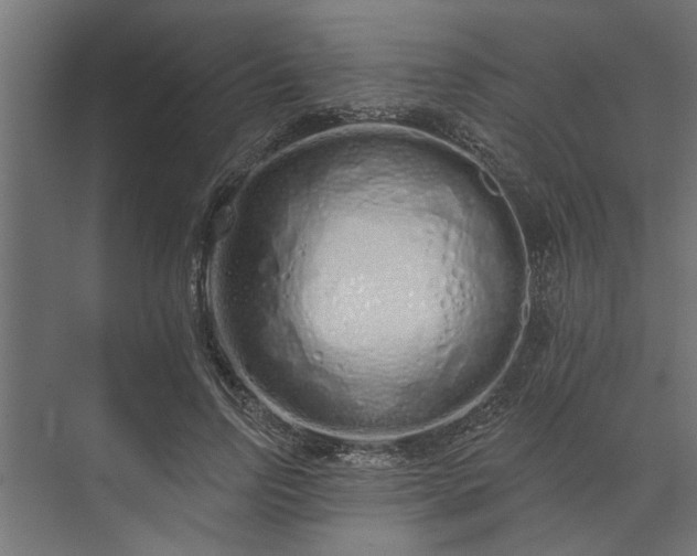 X0000073850742200608241042