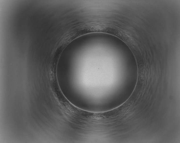 X0000073850743200608241042