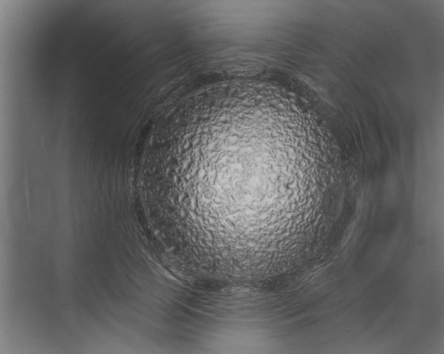 X0000073850745200608241042