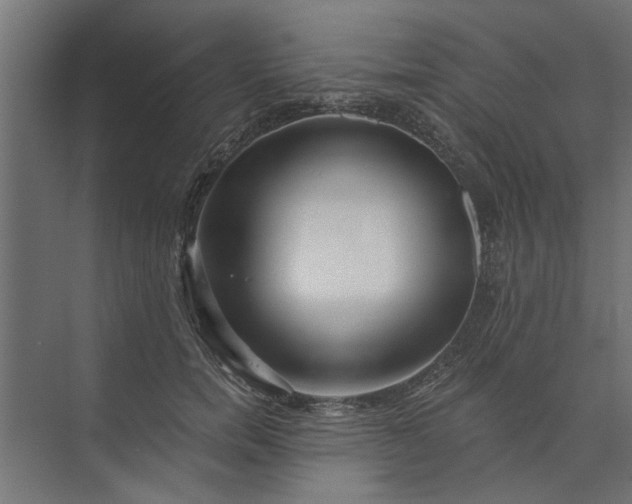 X0000073850750200608241042