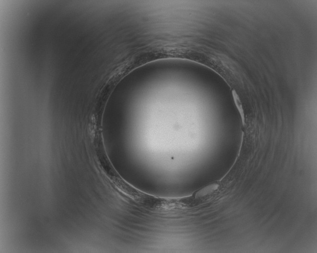 X0000073850752200608241042