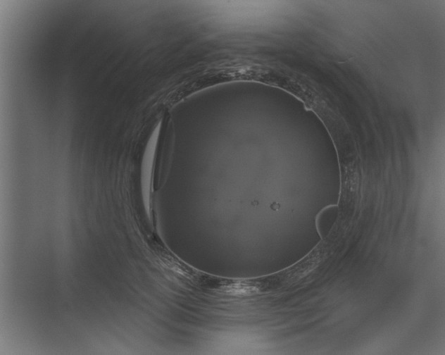 X0000073850754200608241042