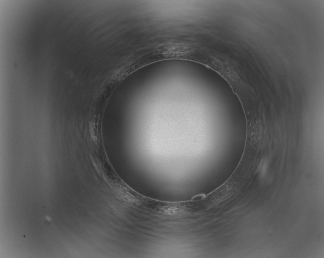 X0000073850755200608241042