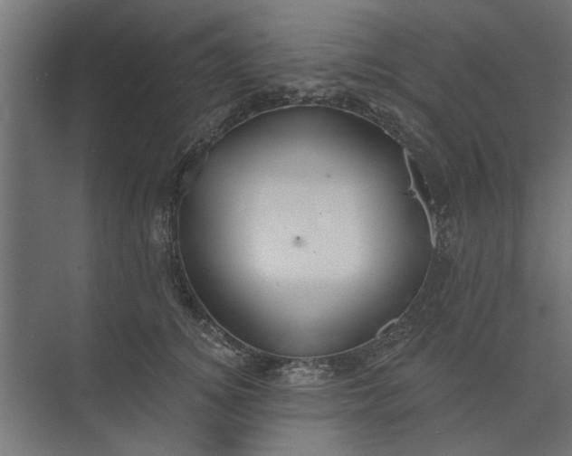 X0000073850756200608241042