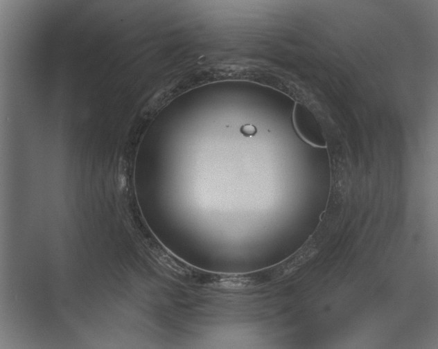 X0000073850758200608241042