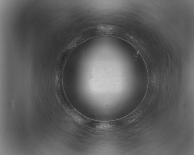 X0000073850759200608241042