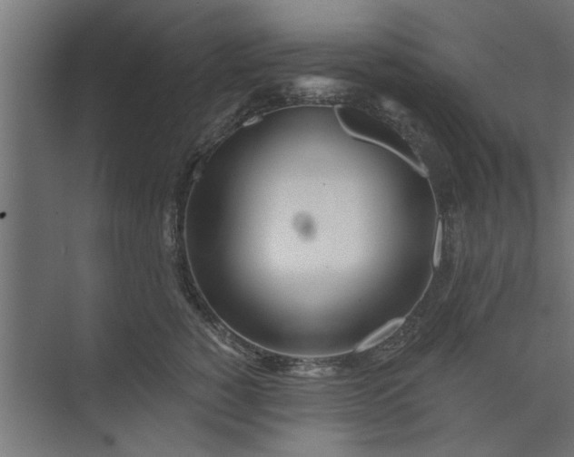 X0000073850760200608241042